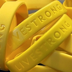 Team Page: |LiveStrong| - The Spinning Turtles